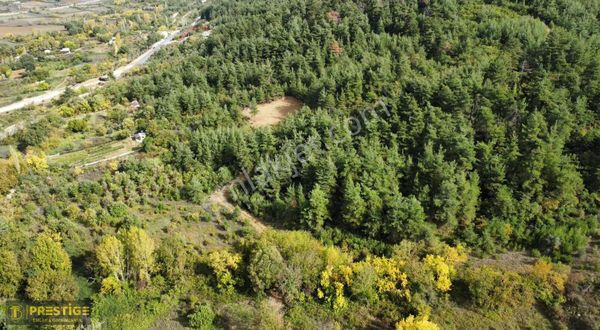 Bt Prestige'den Hasanağa'da Villa Arsa Hissesi