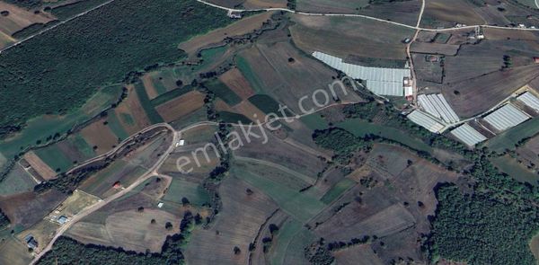 Böğürgen Mahallesinde Satılık Fırsat Tarla