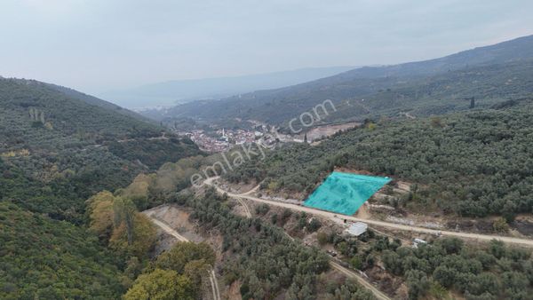 Kumla Konak Emlak”tan Satılık Deniz Görür Arsa