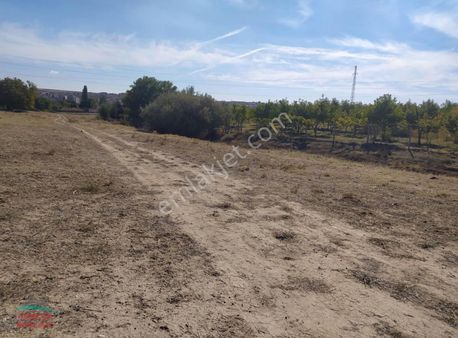 Mucur Merkezde 16 Dönüm İmar Sınırında Tarla