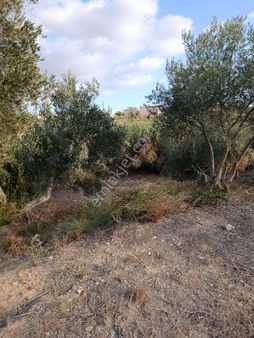 Ay Gayrimenkul'den Boynuyoğunda 574m2 Satılık Arsa