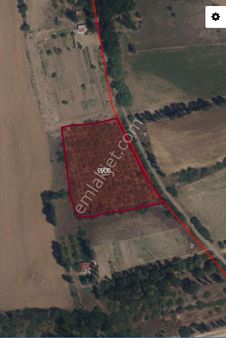 İnönü Çukurhisar Sınırında Satılık Fırsat Bahçe