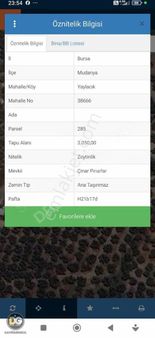 Bursa Mudanya Yaylacık Köyünde Yatırımlık Tarla