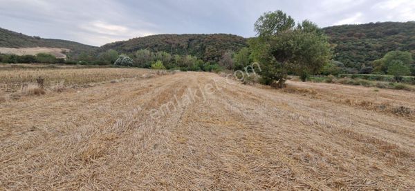 Mudanya Emirler Yenicesi Satılık Tarla
