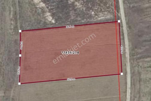Rw Milyon'dan Emirceoğlu Mah. Yatırımlık Verimli 4349 M2 Tarla
