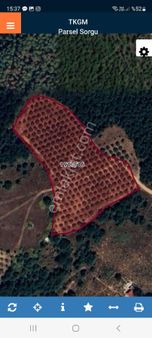 İznikte Zeytin Bahçesi Satılıktır