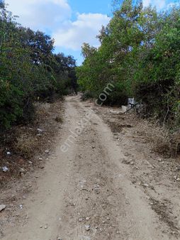 Balıkesir Balya Çakallar Mahallesinde Satılık Bahçe