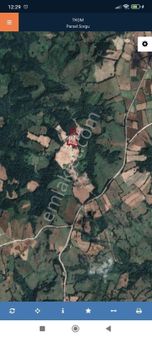 Balıkesir Gönen Sebepli Köyünde 12 Dönüm Tarla Satılık