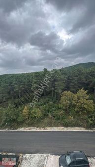 Orman Manzaralı Muhteşem Dubleks Daire Yatırım Fırsat Kupon