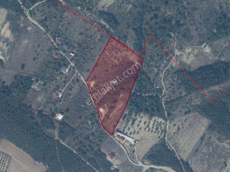 Sakarya Geyve Akçaşehir'de Satılık Arsa Hissesi