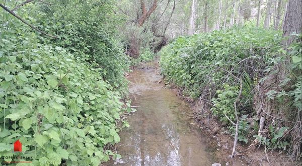 Dere Kenarında 3068m2 Başarakavakta Satılık Bahçe Yeri
