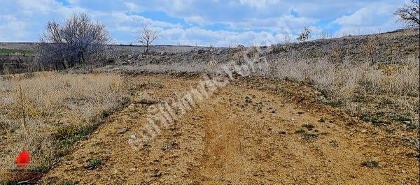Pamukcu Sırtında Burayı Kaçırma 1888m2 Müstakil Satılık Tarla