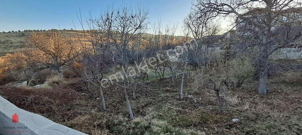 Hobi Bahçesi Fiyatına Köy İçi Satılık Bahçe