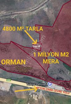 Sadıkbeyde Satılık Çiftlik Yapımına Uygun Arazi