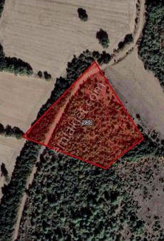 Bm Real Estate Yenişehir Marmaracık'ta 7620 M2 Satılık Tarla