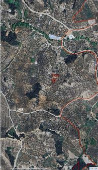 Bm Real Estate Mudanya Işıklı Köyü'nde Satılık 1940 M2 Zeytinlik