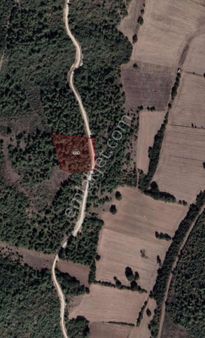 Bm Real Estate Marmaracık'ta 3960 M2 Tek Tapu Tarla