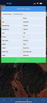 Bm Real Estate Yarhisar'da 3002 M2 Satılık Tek Tapu Tarla