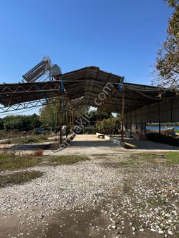 Acarlar Emlaktan Sultanhisar Yağdere'de 4505 M2 Satılık Çiftlik