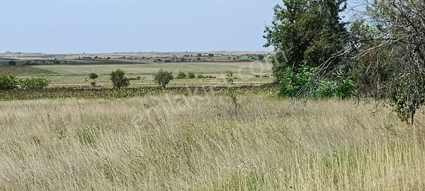 Edirne Süloğlu Tatarlar Köyünde Fırsat. Satılık Müstakil Tarla