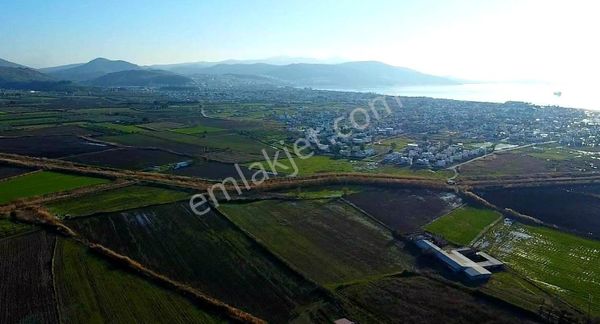 İzmir Dikili İsmetpaşa Mahallesi Satılık Eşsiz Tarla