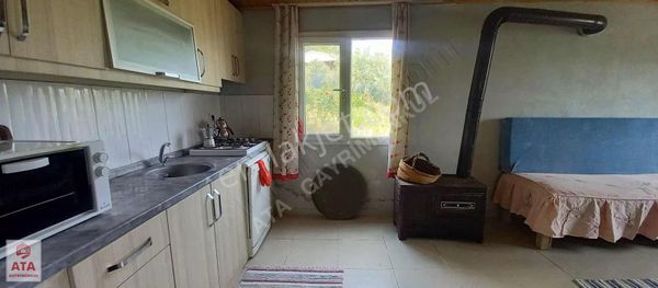 Kemalpaşa Armutluda Hürriyet Mahhalleside Zeytinli Bağ Satılık