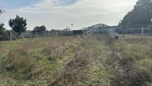 |osmanlı|kapaklı Pınarça'da Satılık Kupon Arsa