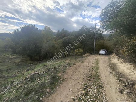 Balya Emlak'tan Balya Kadıköyde Satılık Tarla 3250m2 Akarsu Yanı