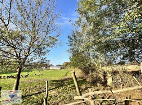 Kandıra Babalı'da 9843 M2 Emsalsiz Arazi