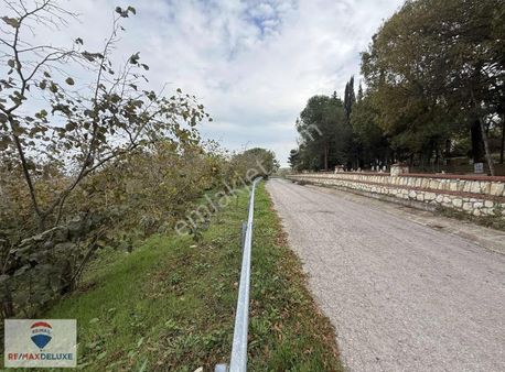 Kandıra Çalyer Köyünde Asfalt Yola Cephe Satılık 2.000 M2 Tarla