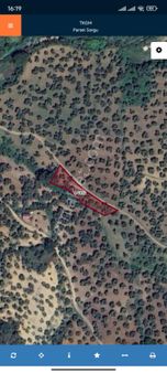 Taş Emlak'tan İmara Yakın Yolu Olan Zeytinlik