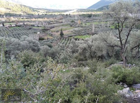 Seydikemer Söğütlüdere De Yatırımlık Tarla