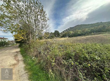 Ayma'dan Kestel Burhaniye Söğüt Sokağa Cephe Fırsat Tarla