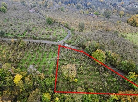 Mabel'den 1400m2 Tek Tapu Satılık Fırsat Tarla