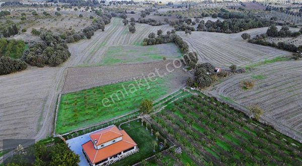 Merkez Köy Dümrek'te Yatırımlık Tarla