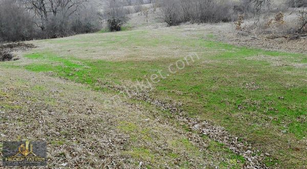 Topçularda Köye Ve Ana Yola Yakın Tek Tapu Arazi [ 2.583 M2 ]