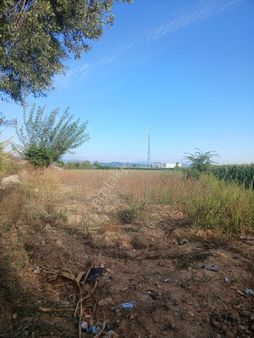 Antalya / Manavgat Karayoluna 3. Parsel İmara 2.parsel Uygun Portakal Bahçesi