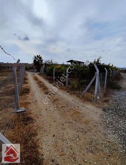 Göle Sıfır 280 M2 Köşe Başı Hisse