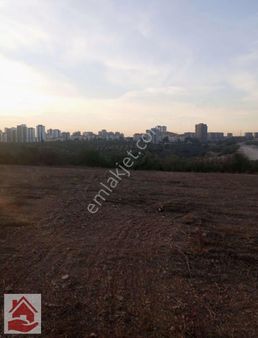 Boynuyogundaki Hissemiz Satılık