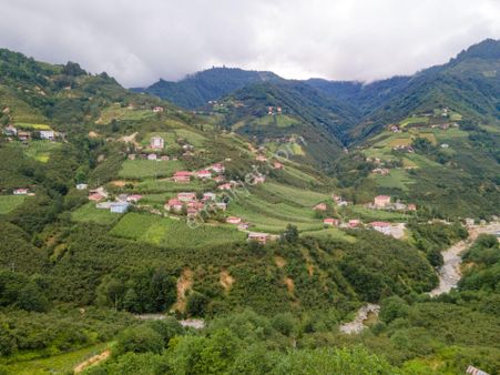 Cep Telefonu Fiyatına ! Giresun'da 563 M² Köyiçi İmarlı Parsel