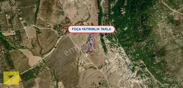 Foça Kocamehmetler Çift Numaratajlı Tarla