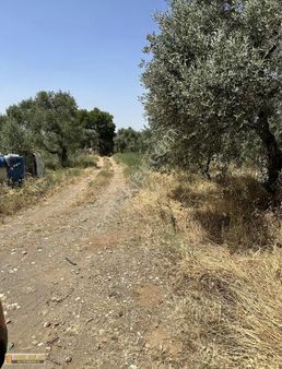 Fırsat 6.000 M2 Arazi