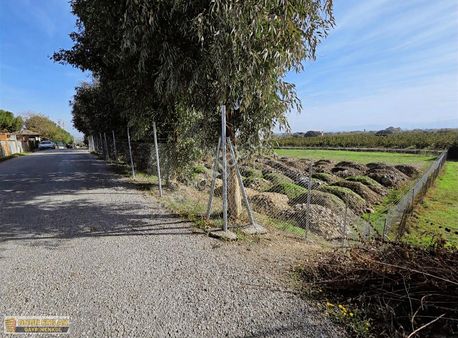 Gelişen Bölgede Fırsat Arsa