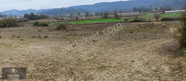 Vizyon Gayrimenkul'den Çardak'ta Tek Tapu Satılık 6857 M2 Tarla