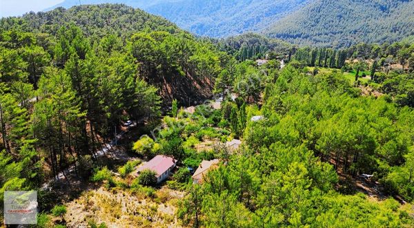 Tuana Gayrimenkul'den Ağla'da 895m² İmarlı Arsa