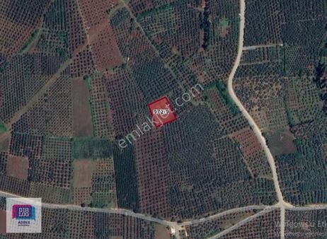 Dialog Adres'ten Bursa Orhangazi Yeniköy'de Satılık Tarla