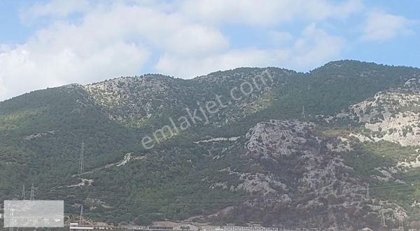 Bodrum Dağbelende 23350 M2 Ana Cadde Cepheli Kelepir Tarla