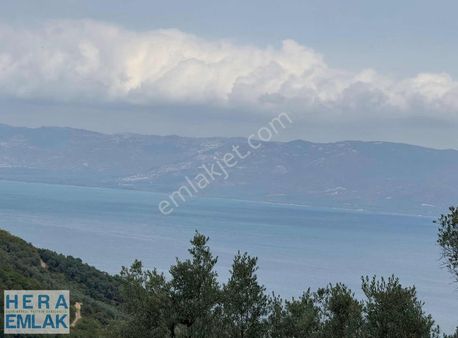 Köy İçi Bahçe. Resmi Yola Cephe. Göl Manzaralı