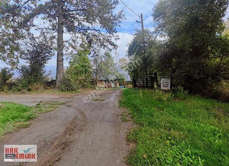 Hak Emlaktan Darıyerihasanbeyköyü Acil Satılık 7.000m² Tarla