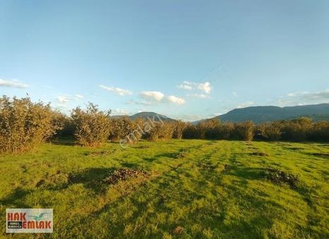 Hak Emlaktan Beyköy'de Villa Yapıma Uygun Satılık 2 Adet Arsalar